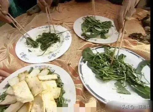 网红大鹅 吃瓜爆料,揭秘娱乐圈背后的惊人真相